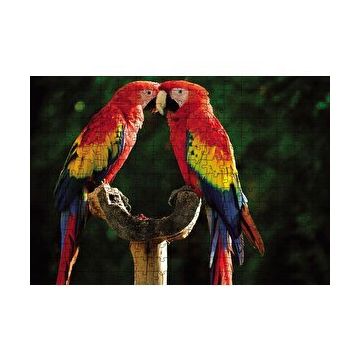 Cakapuzzle Aşık Papaganlar 120 Parça Ahşap Puzzle