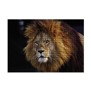 Cakapuzzle Aslan Kral 120 Parça Ahşap Puzzle