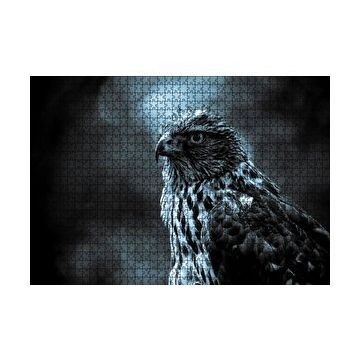 Cakapuzzle Atmaca Yakın Çekim 120 Parça Ahşap Puzzle