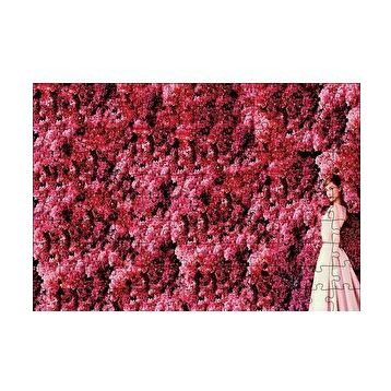 Cakapuzzle Audrey Hepburn Kırmızı Çiçekler Önünde Puzzle