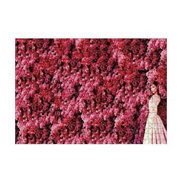 Cakapuzzle Audrey Hepburn Kırmızı Çiçekler Önünde Puzzle