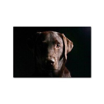 Cakapuzzle Av Köpeği Evcil Hayvanla 120 Parça Ahşap Puzzle