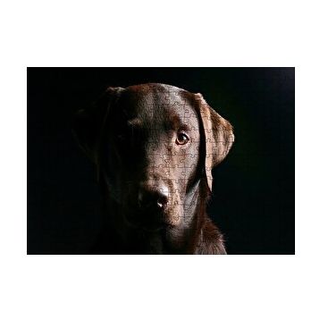 Cakapuzzle Av Köpeği Evcil Hayvanla 120 Parça Ahşap Puzzle