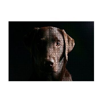Cakapuzzle Av Köpeği Evcil Hayvanla 120 Parça Ahşap Puzzle