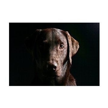Cakapuzzle Av Köpeği Evcil Hayvanla 120 Parça Ahşap Puzzle