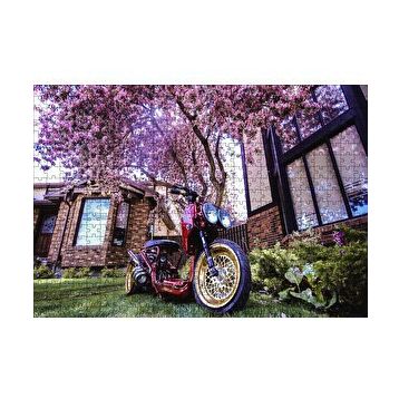 Cakapuzzle Bahçe Pembe Çiçekli Ağaç ve Modifiyeli Motorsiklet 120 Parça Ahşap Puzzle