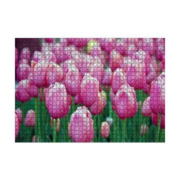 Cakapuzzle Bahçede Pembe Laleler 120 Parça Ahşap Puzzle