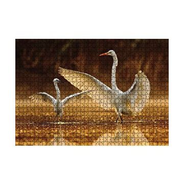 Cakapuzzle Balıkçıl Kuş ve Yavrusu 120 Parça Ahşap Puzzle