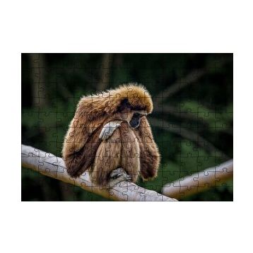 Cakapuzzle Bambu Üzerinde Dinlenen Gibbon Maymunu 120 Parça Ahşap Puzzle