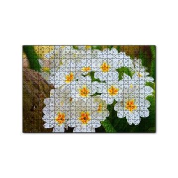 Cakapuzzle Bayaz Çuha Çiçeği Görseli 120 Parça Ahşap Puzzle