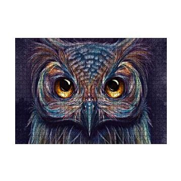 Cakapuzzle Baykuş Dijital Renkli Çizim 120 Parça Ahşap Puzzle