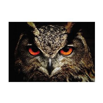 Cakapuzzle Baykuşun Gözleri 120 Parça Ahşap Puzzle
