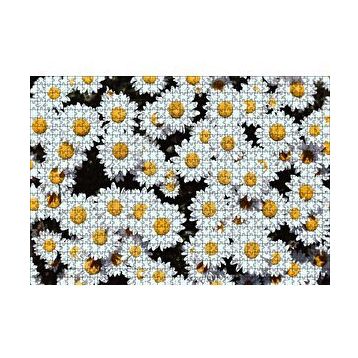 Cakapuzzle Bembeyaz Papatyalar 120 Parça Ahşap Puzzle