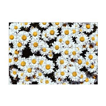 Cakapuzzle Bembeyaz Papatyalar 120 Parça Ahşap Puzzle