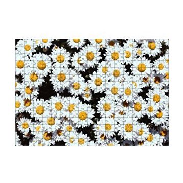 Cakapuzzle Bembeyaz Papatyalar 120 Parça Ahşap Puzzle