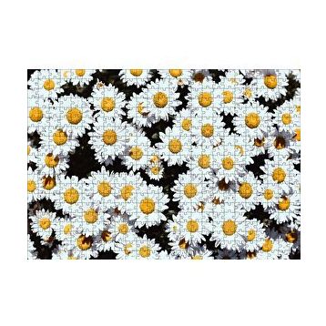 Cakapuzzle Bembeyaz Papatyalar 120 Parça Ahşap Puzzle