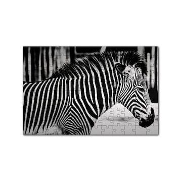 Cakapuzzle Benzersiz Deseniyle Zebra Yakın Çekim 120 Parça Ahşap Puzzle