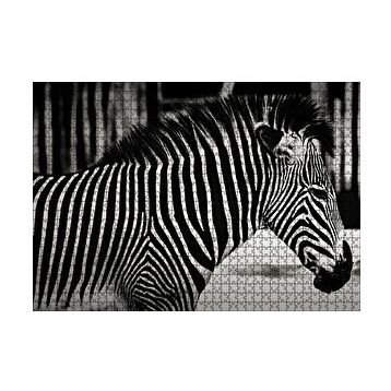 Cakapuzzle Benzersiz Deseniyle Zebra Yakın Çekim 120 Parça Ahşap Puzzle