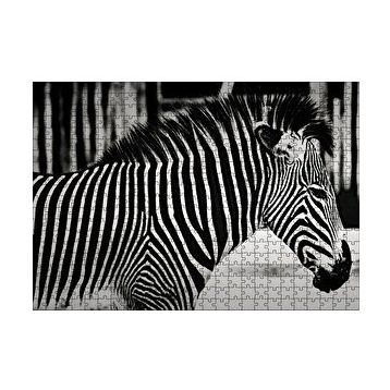 Cakapuzzle Benzersiz Deseniyle Zebra Yakın Çekim 120 Parça Ahşap Puzzle
