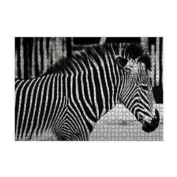 Cakapuzzle Benzersiz Deseniyle Zebra Yakın Çekim 120 Parça Ahşap Puzzle