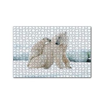 Cakapuzzle Beyaz Ayı Ailesi Kutup 120 Parça Ahşap Puzzle