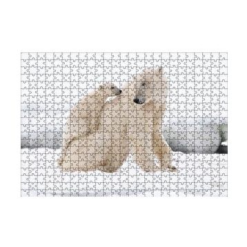 Cakapuzzle Beyaz Ayı Ailesi Kutup 120 Parça Ahşap Puzzle