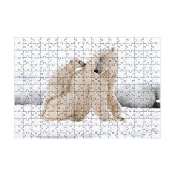 Cakapuzzle Beyaz Ayı Ailesi Kutup 120 Parça Ahşap Puzzle