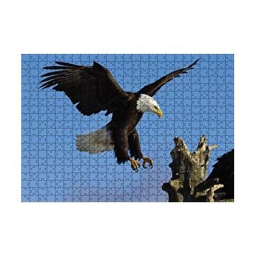 Cakapuzzle Beyaz Başlı Kartal Konuşu Puzzle