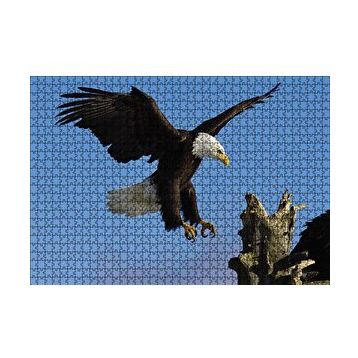 Cakapuzzle Beyaz Başlı Kartal Konuşu Puzzle