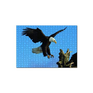 Cakapuzzle Beyaz Başlı Kartal Konuşu Puzzle