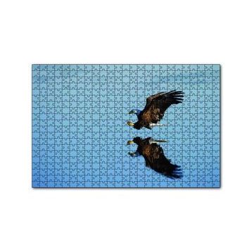 Cakapuzzle Beyaz Başlı Kartal Yansıma Puzzle