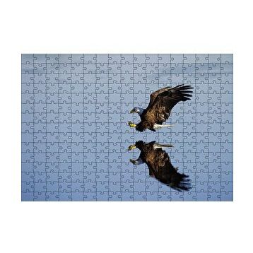 Cakapuzzle Beyaz Başlı Kartal Yansıma Puzzle