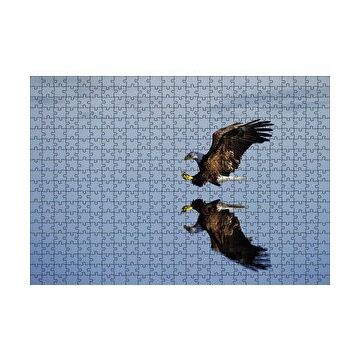 Cakapuzzle Beyaz Başlı Kartal Yansıma Puzzle