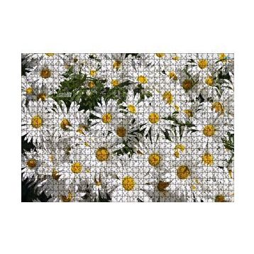 Cakapuzzle Beyaz Büyük Papatyalar 120 Parça Ahşap Puzzle