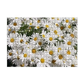 Cakapuzzle Beyaz Büyük Papatyalar 120 Parça Ahşap Puzzle