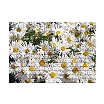 Cakapuzzle Beyaz Büyük Papatyalar 120 Parça Ahşap Puzzle