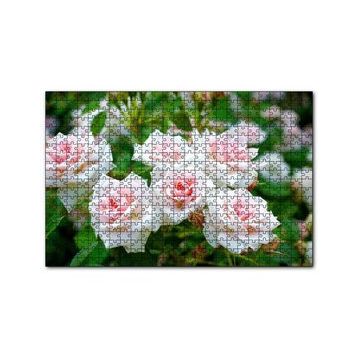 Cakapuzzle Beyaz Çalı Gülleri Görseli 120 Parça Ahşap Puzzle