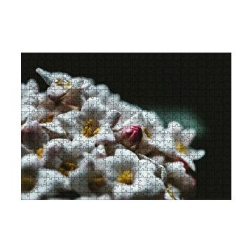 Cakapuzzle Beyaz Çiçeklerin Arasındaki Asi Pembe 120 Parça Ahşap Puzzle