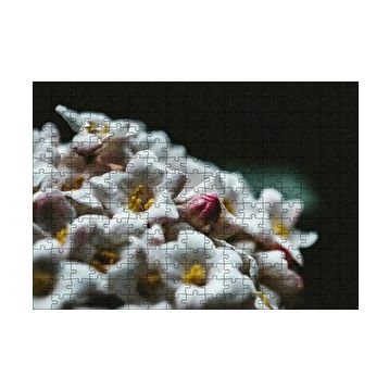 Cakapuzzle Beyaz Çiçeklerin Arasındaki Asi Pembe 120 Parça Ahşap Puzzle