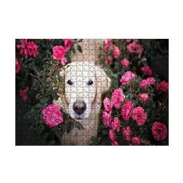 Cakapuzzle Beyaz Golden Retriever Çiçekler Arasında 120 Parça Ahşap Puzzle