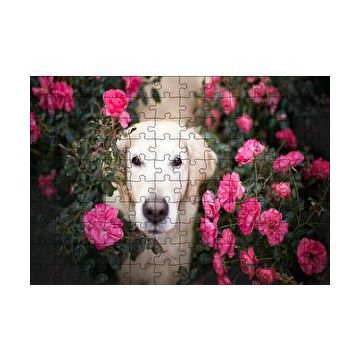 Cakapuzzle Beyaz Golden Retriever Çiçekler Arasında 120 Parça Ahşap Puzzle