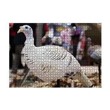 Cakapuzzle Beyaz Hindi Biblo 120 Parça Ahşap Puzzle