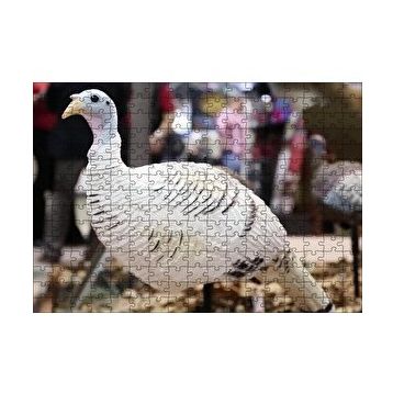 Cakapuzzle Beyaz Hindi Biblo 120 Parça Ahşap Puzzle