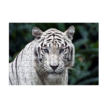 Cakapuzzle Beyaz Kaplan Hayvanat Bahçesinde 120 Parça Ahşap Puzzle