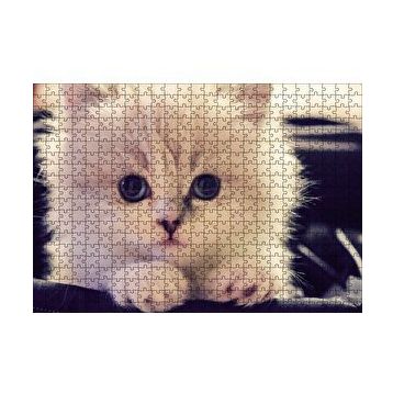 Cakapuzzle Beyaz Kedi 120 Parça Ahşap Puzzle