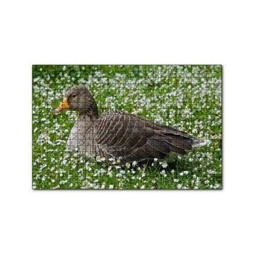 Cakapuzzle Beyaz Papatyalar Arasındaki Kaz 120 Parça Ahşap Puzzle