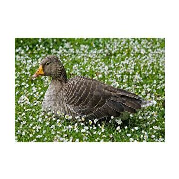 Cakapuzzle Beyaz Papatyalar Arasındaki Kaz 120 Parça Ahşap Puzzle