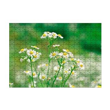 Cakapuzzle Beyaz Papatyalar Flu Arkaplan 120 Parça Ahşap Puzzle