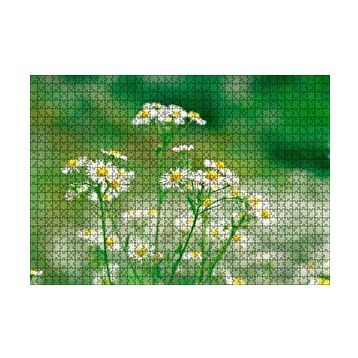 Cakapuzzle Beyaz Papatyalar Flu Arkaplan 120 Parça Ahşap Puzzle