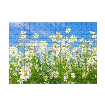 Cakapuzzle Beyaz Papatyalar ve Mavi Gökyüzü 120 Parça Ahşap Puzzle